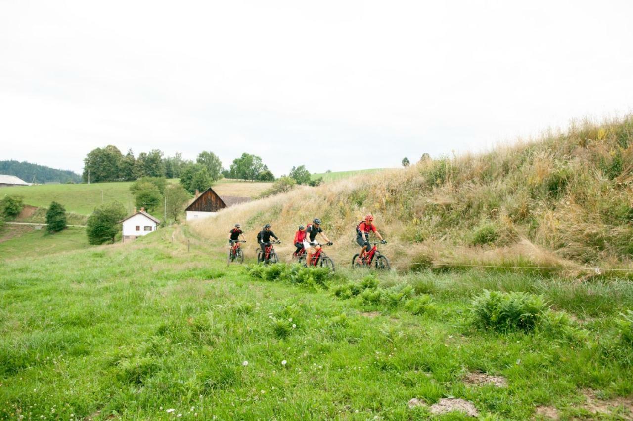 Gasthof Zum Moosmann - Familie Pachernigg Arnfels ภายนอก รูปภาพ